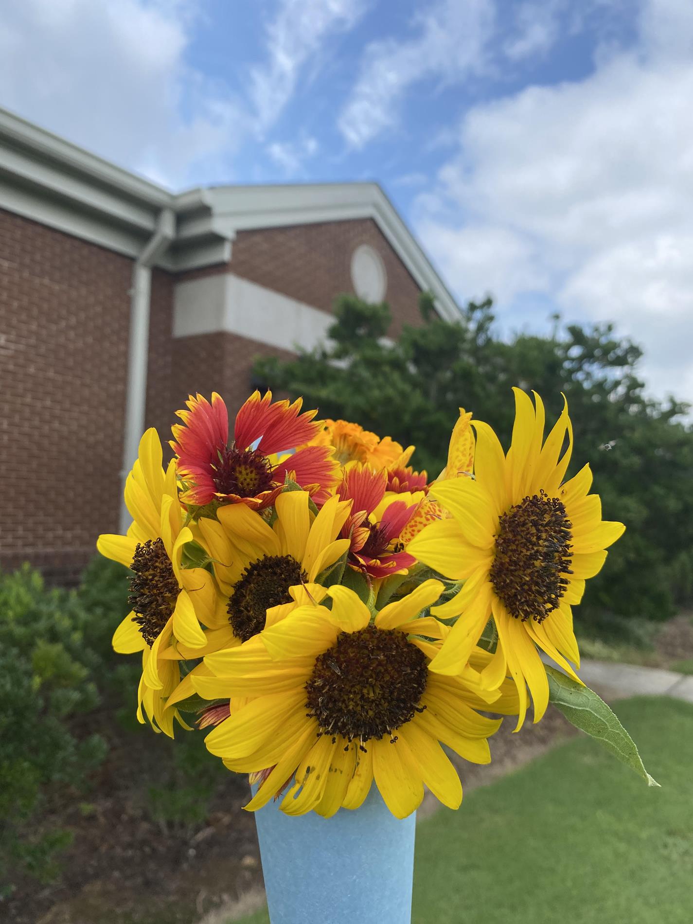 JPII Garden Club flower