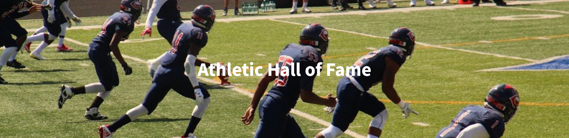 Athletic Hall of Fame Logo