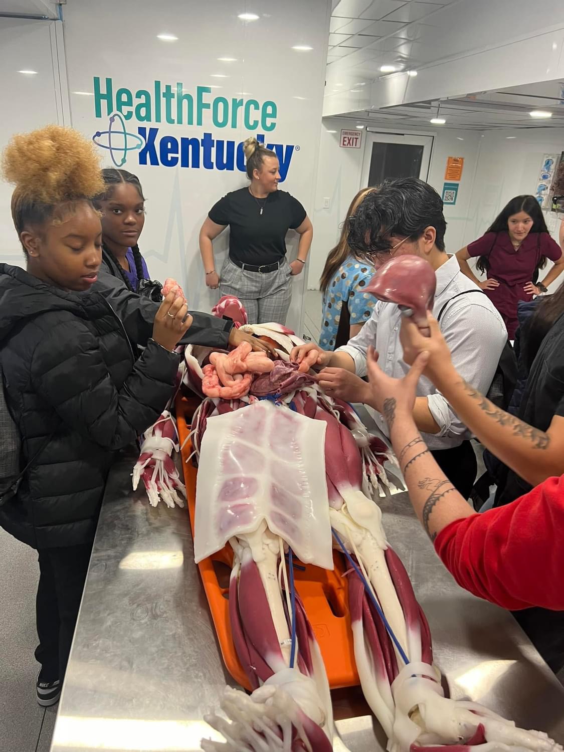 Health Science Students learning about parts of the body