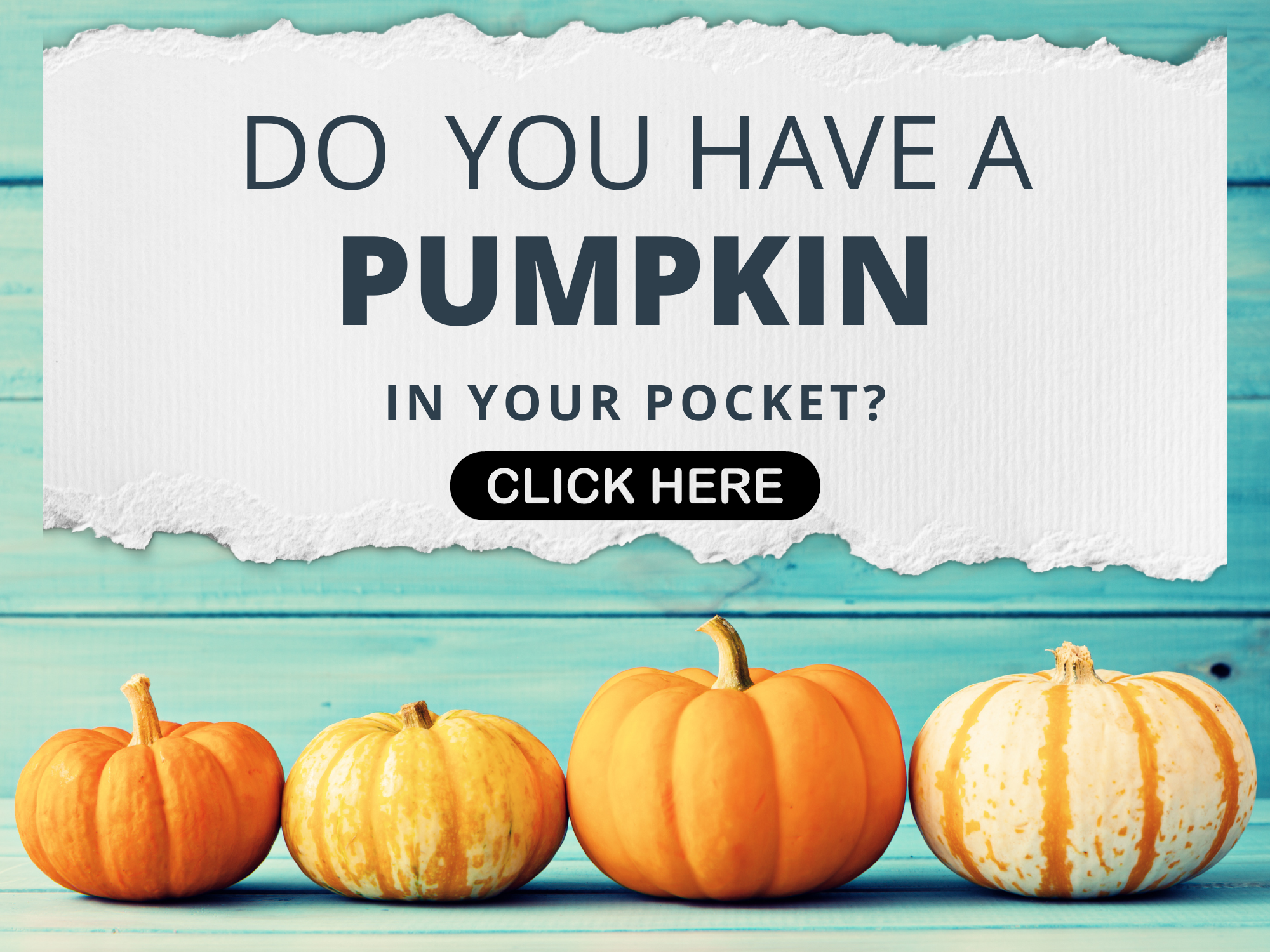 Do You have a pumpkin in your pocket