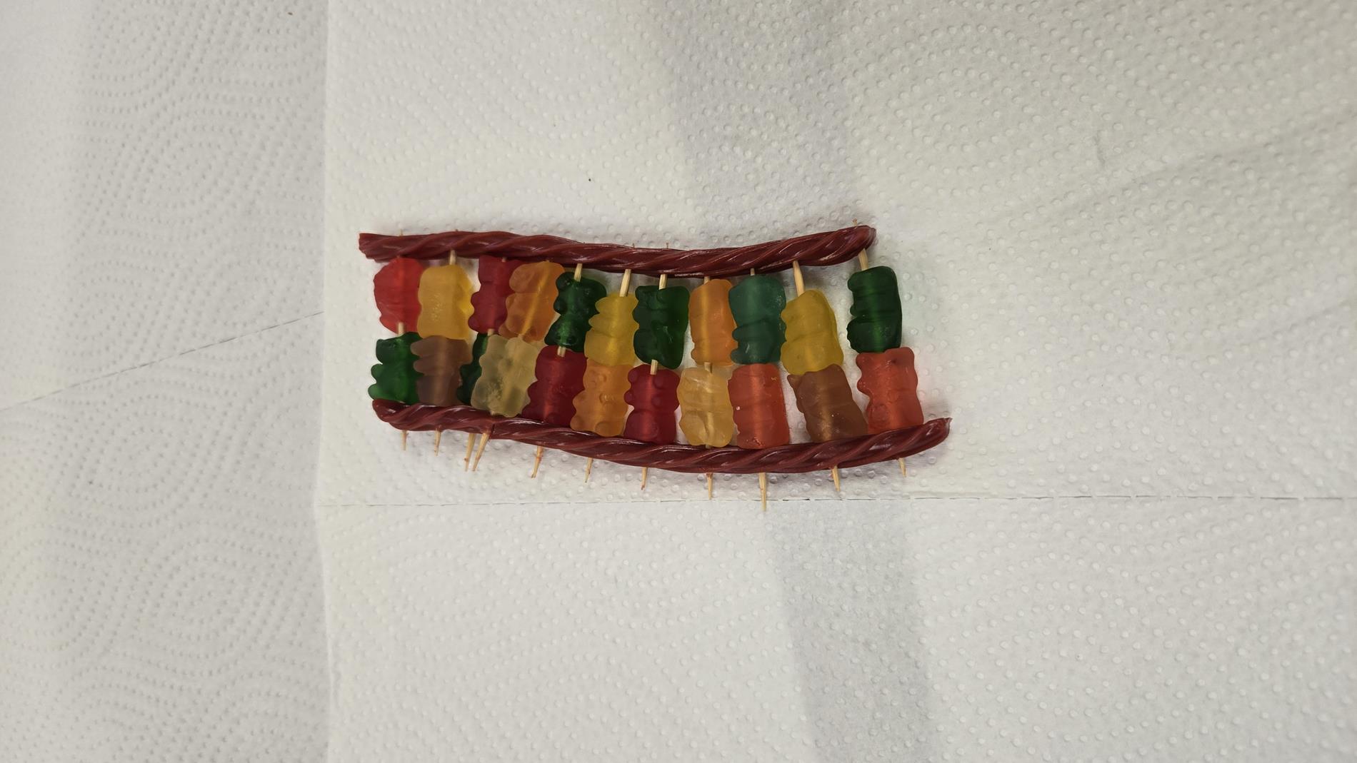 3d Model of DNA by 8th Grade