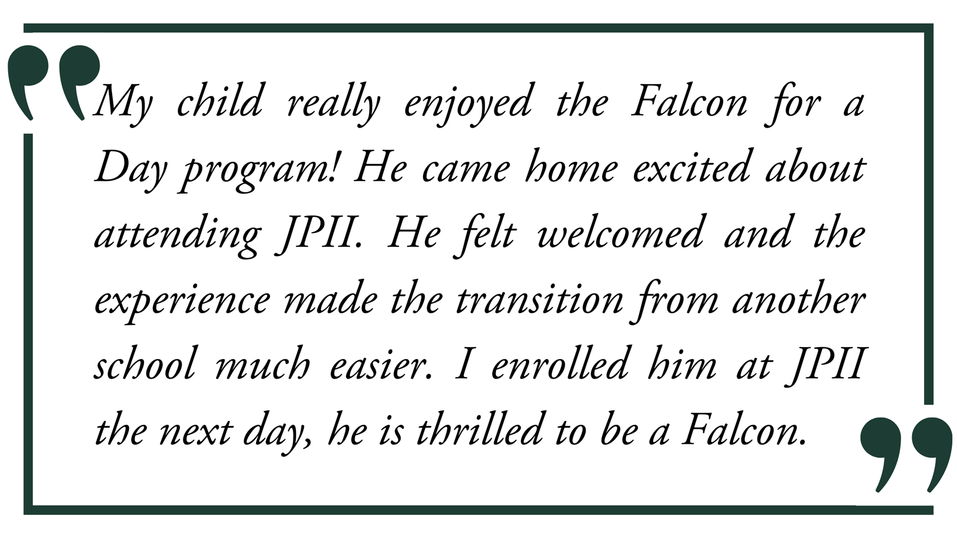 Falcon for a Day parent quote