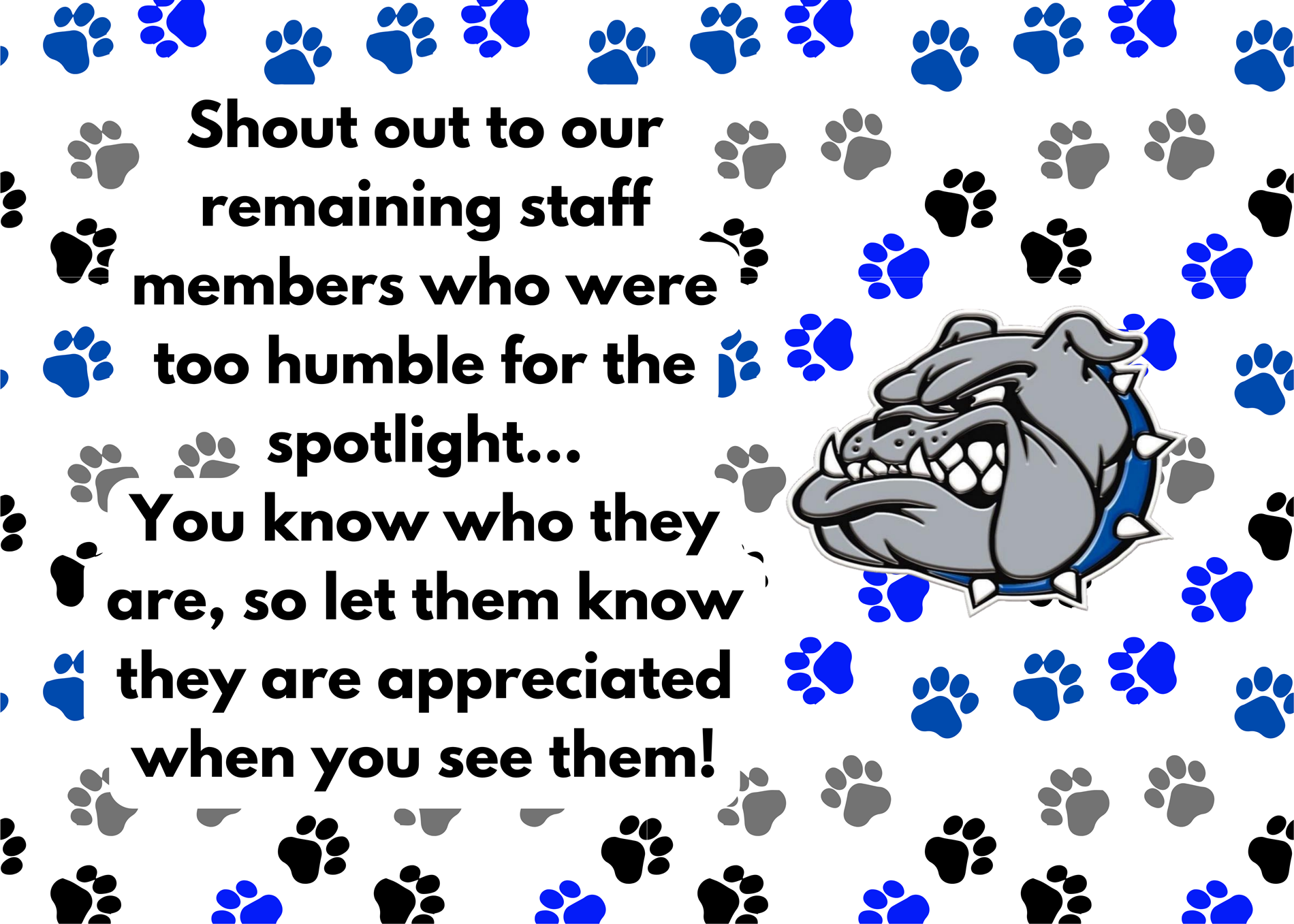 staff spotlights