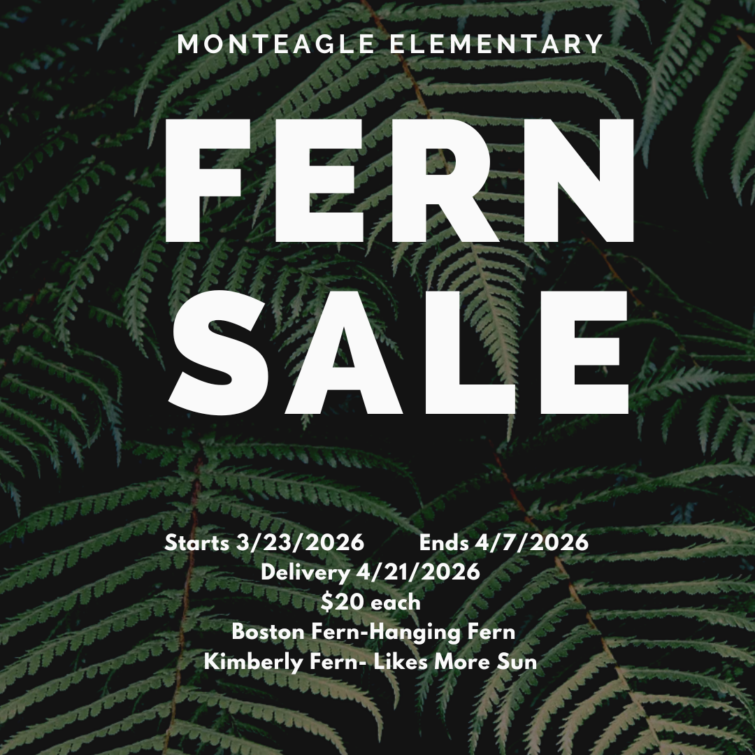 Fern Sale Info