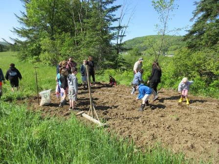 Planting Pumpkins 060325