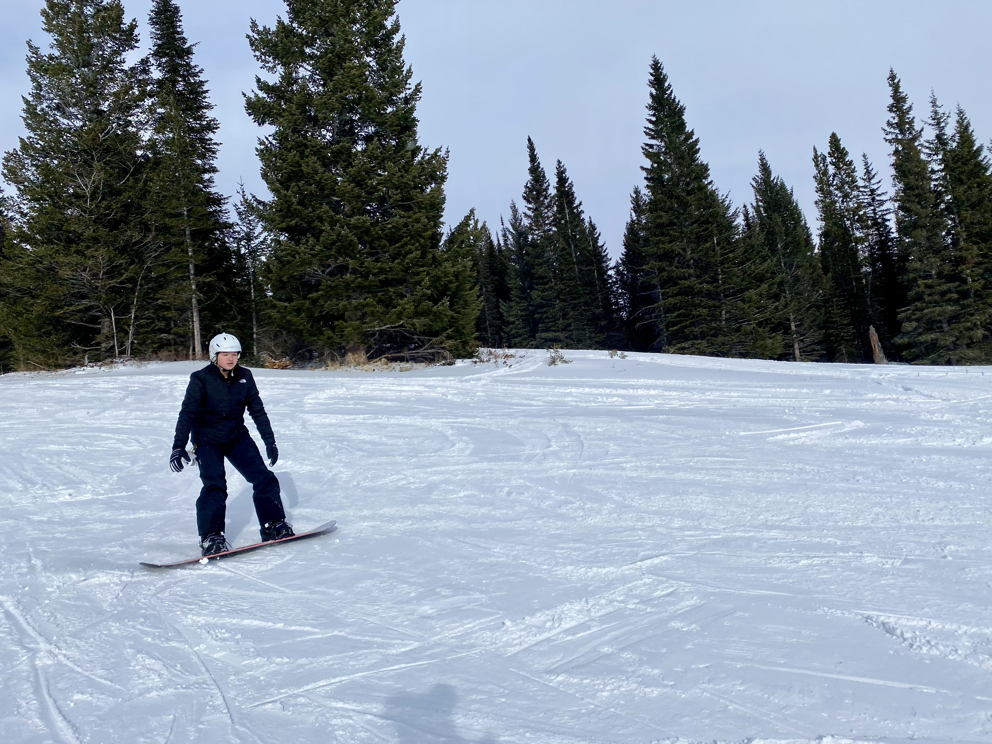 January Ski Trip