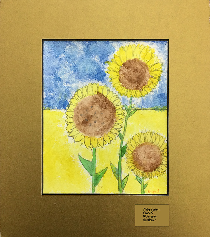 Abby Barton - Watercolor - Sunflower