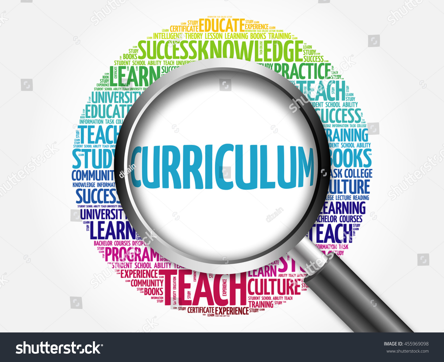 curriculum