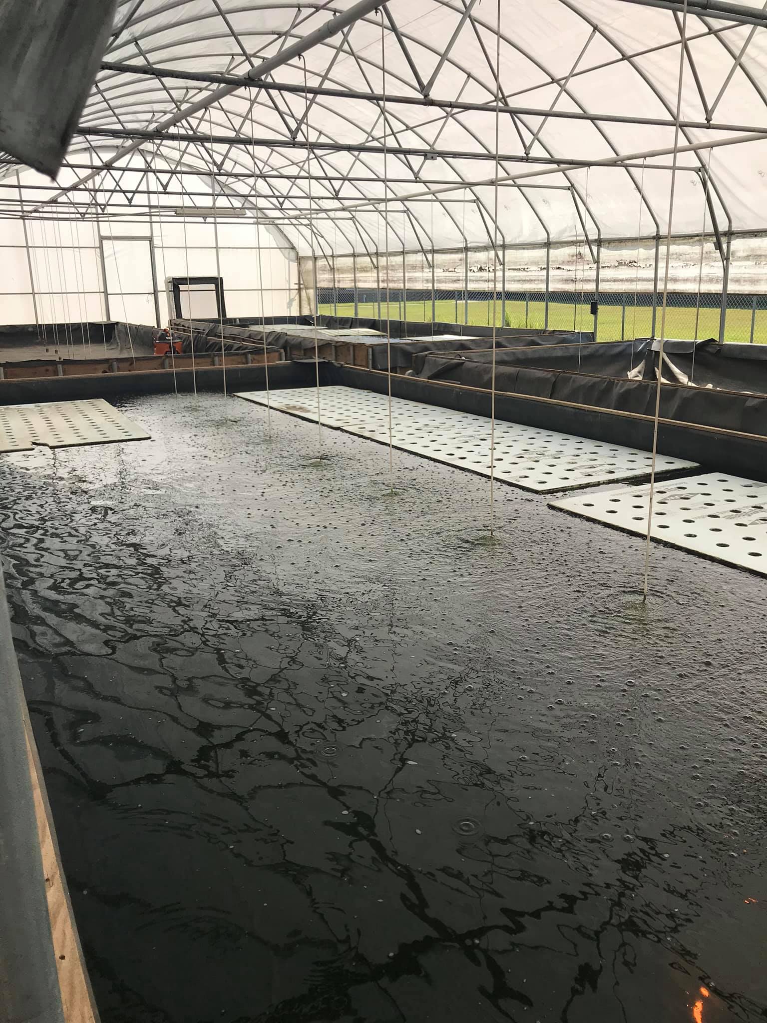 Aquacenter