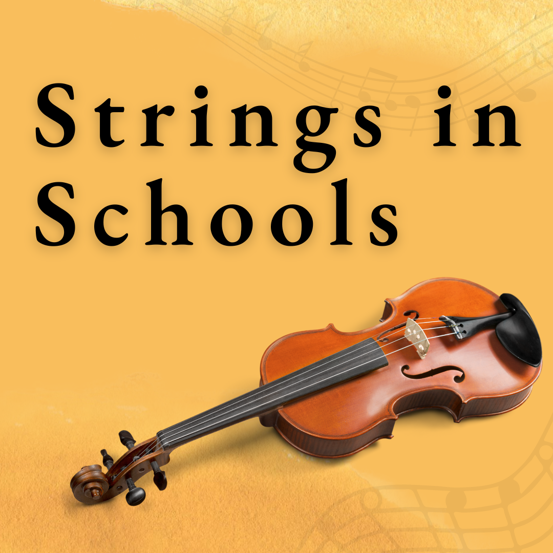 Strings in Schools