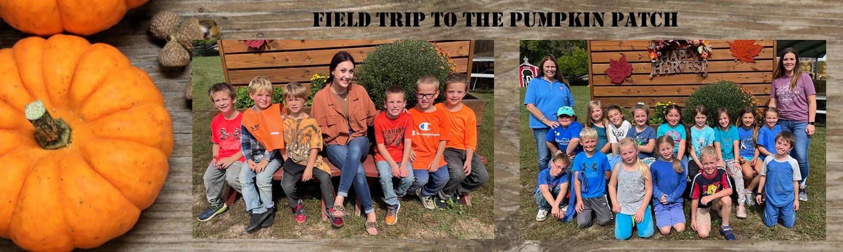 images of students at pumpkin patch