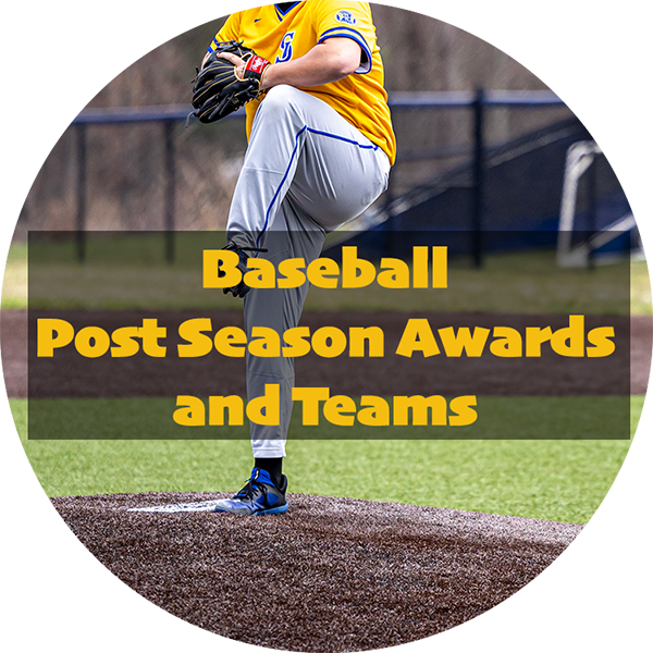 Baseball Athletic Awards and Recognitions