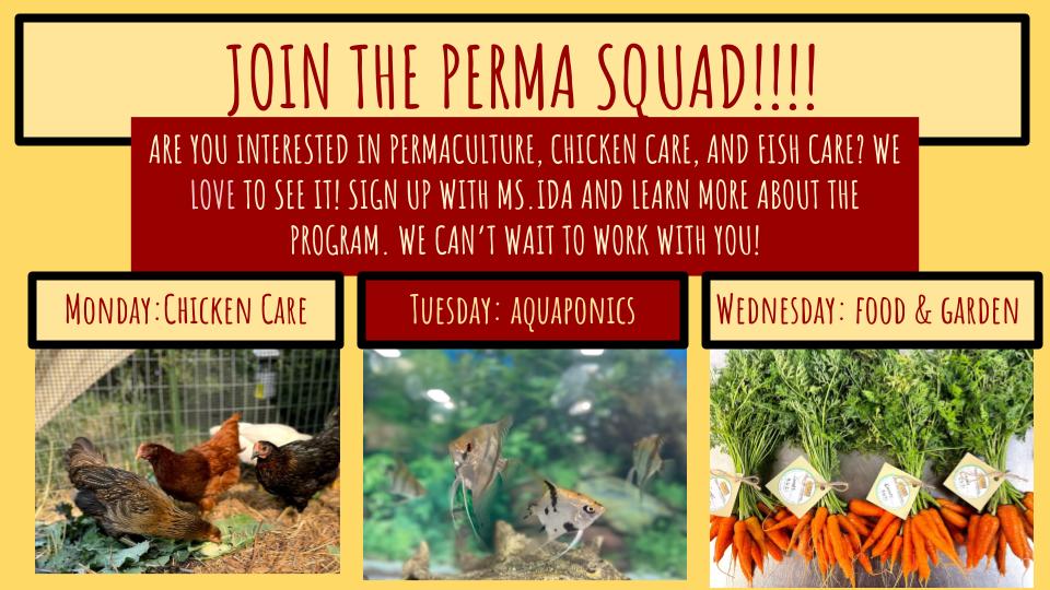 JOIN THE PERMA SQUAD!!!!
