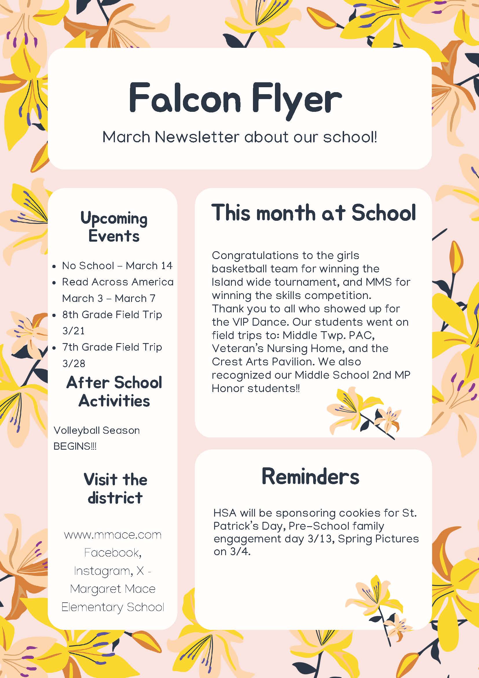 Falcon Flyer