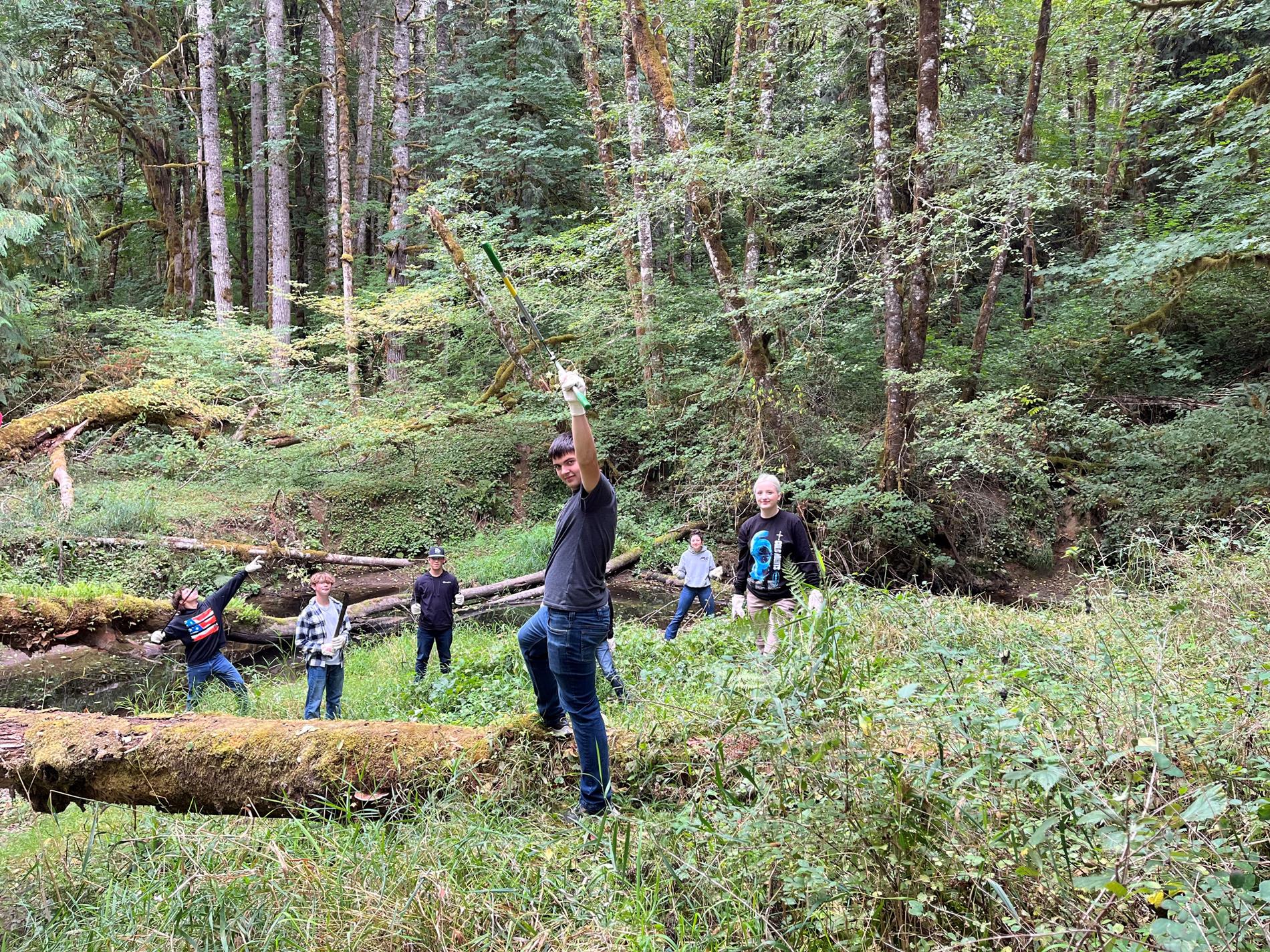 Planting trees