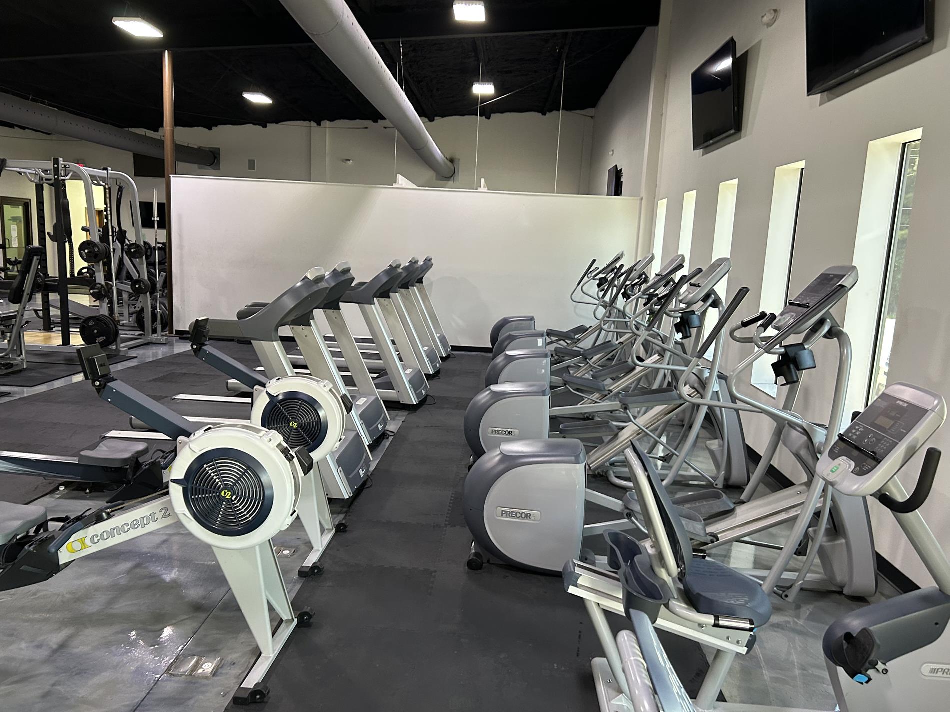 Wellness 4