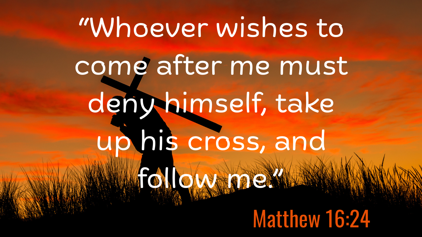 22nd Sunday in Ordinary Time