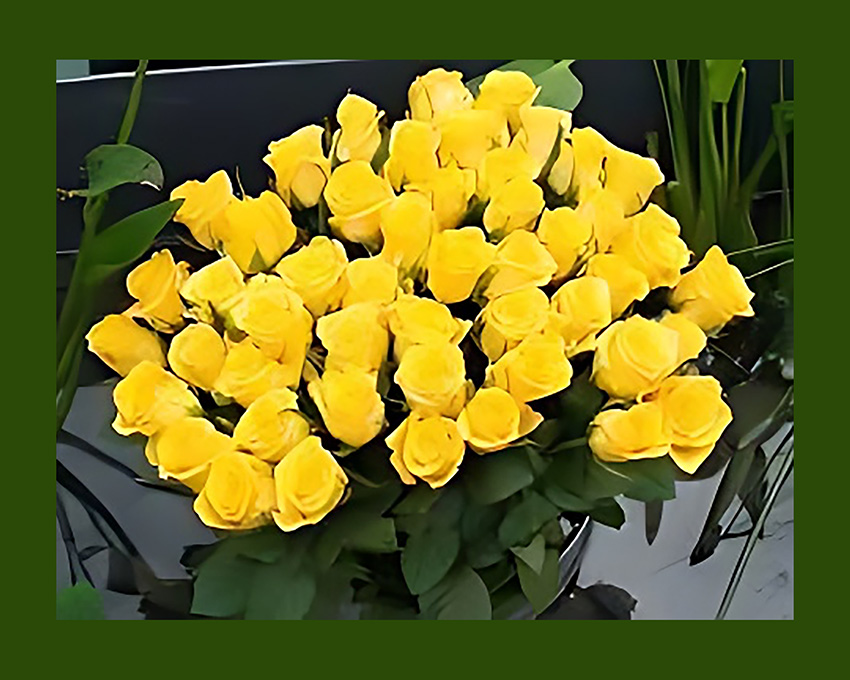 Class Flower, Yellow Rose