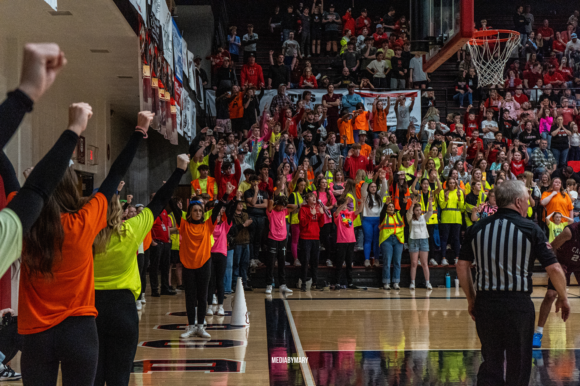 Student section during sub state game