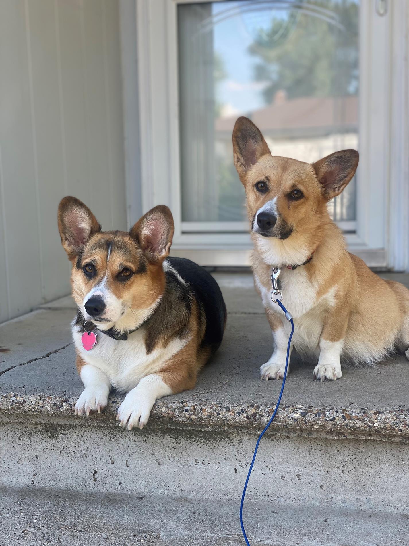 Kodi & Emma