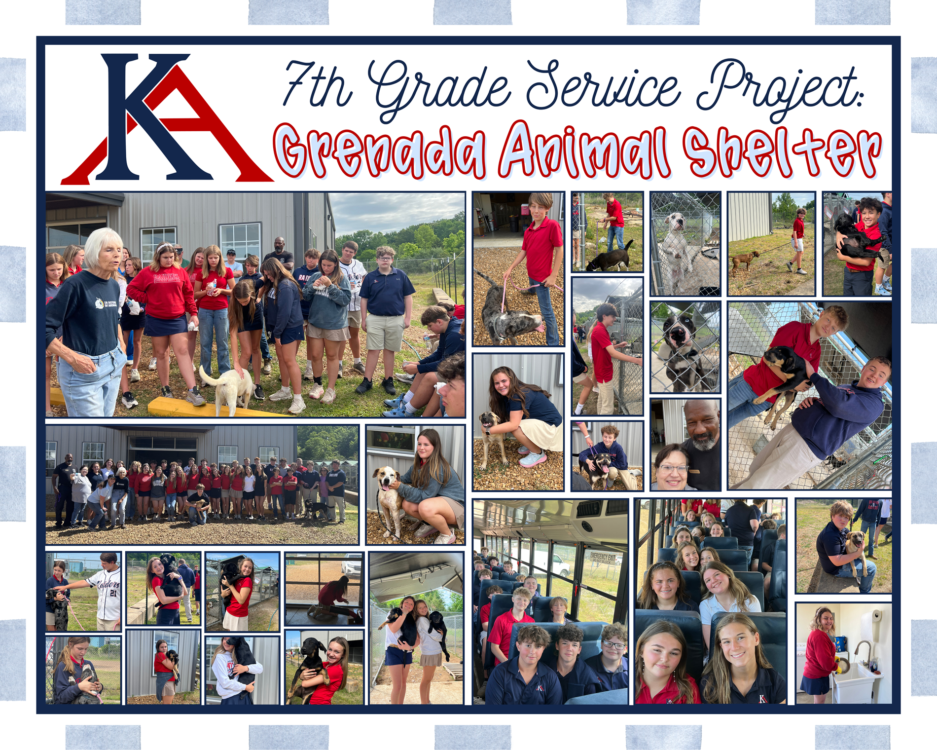 animal shelter project