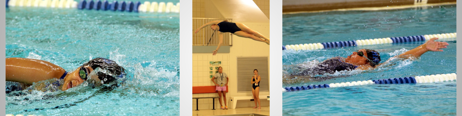 Members of the swim team in action (diving, swimming)