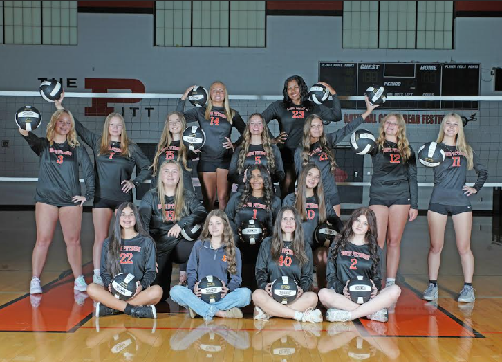 volleyball picture