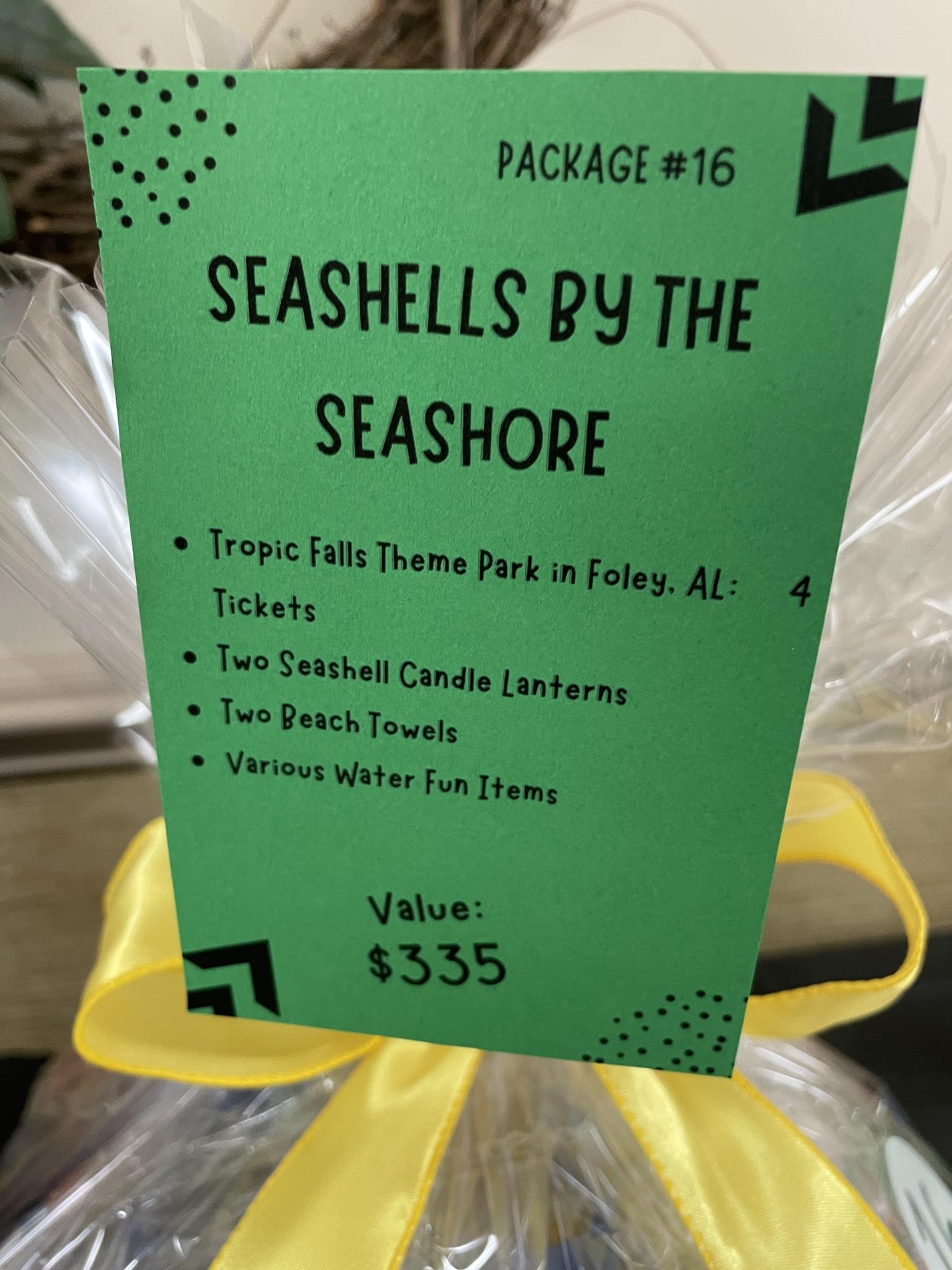Auction Item #16: Seashells by the Seashore