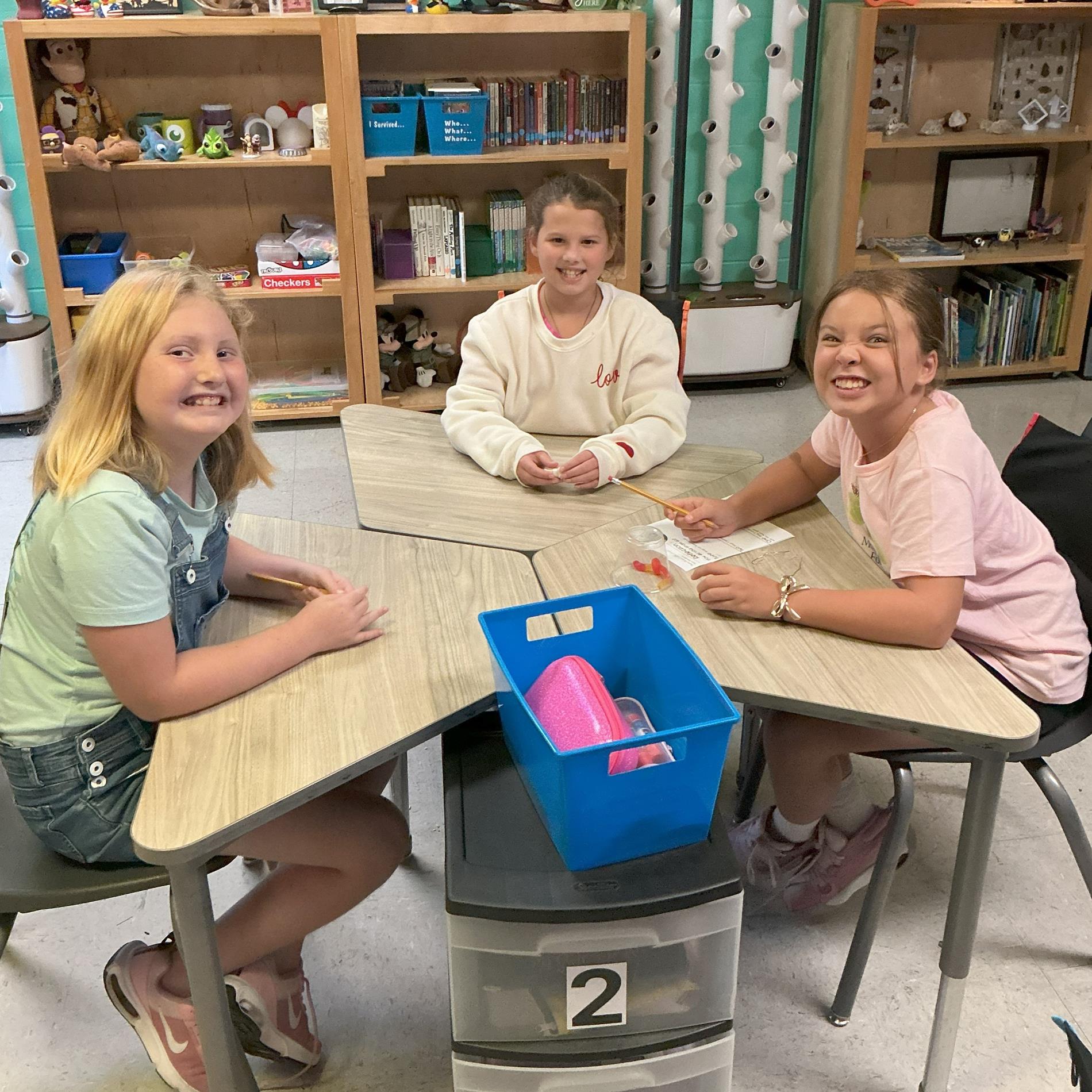 Girls working together in Science class