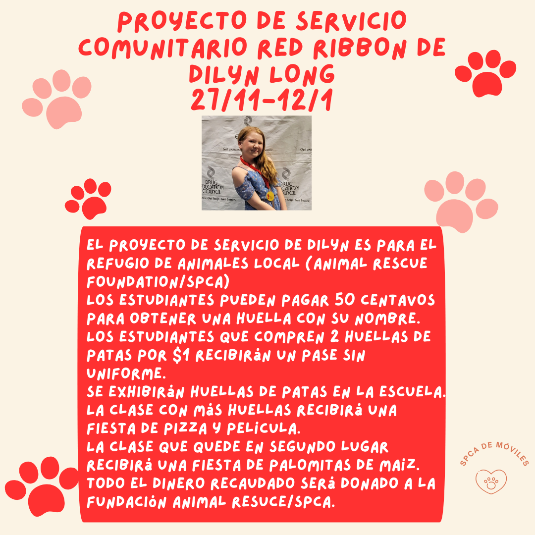 Spanish version of the Red Ribbon service project 