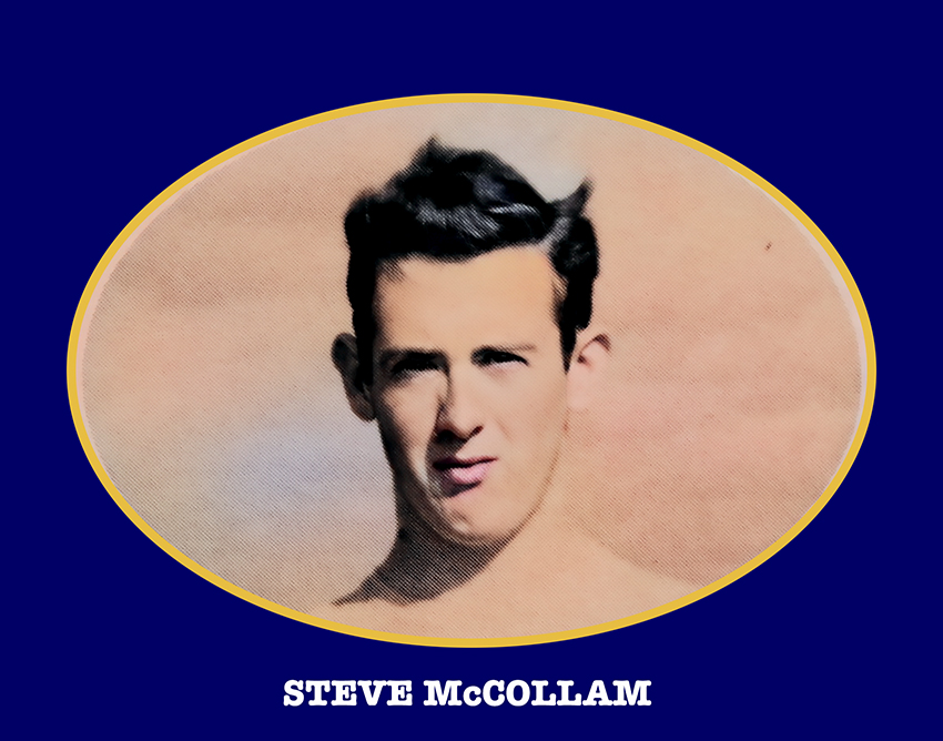 Steve McCollam