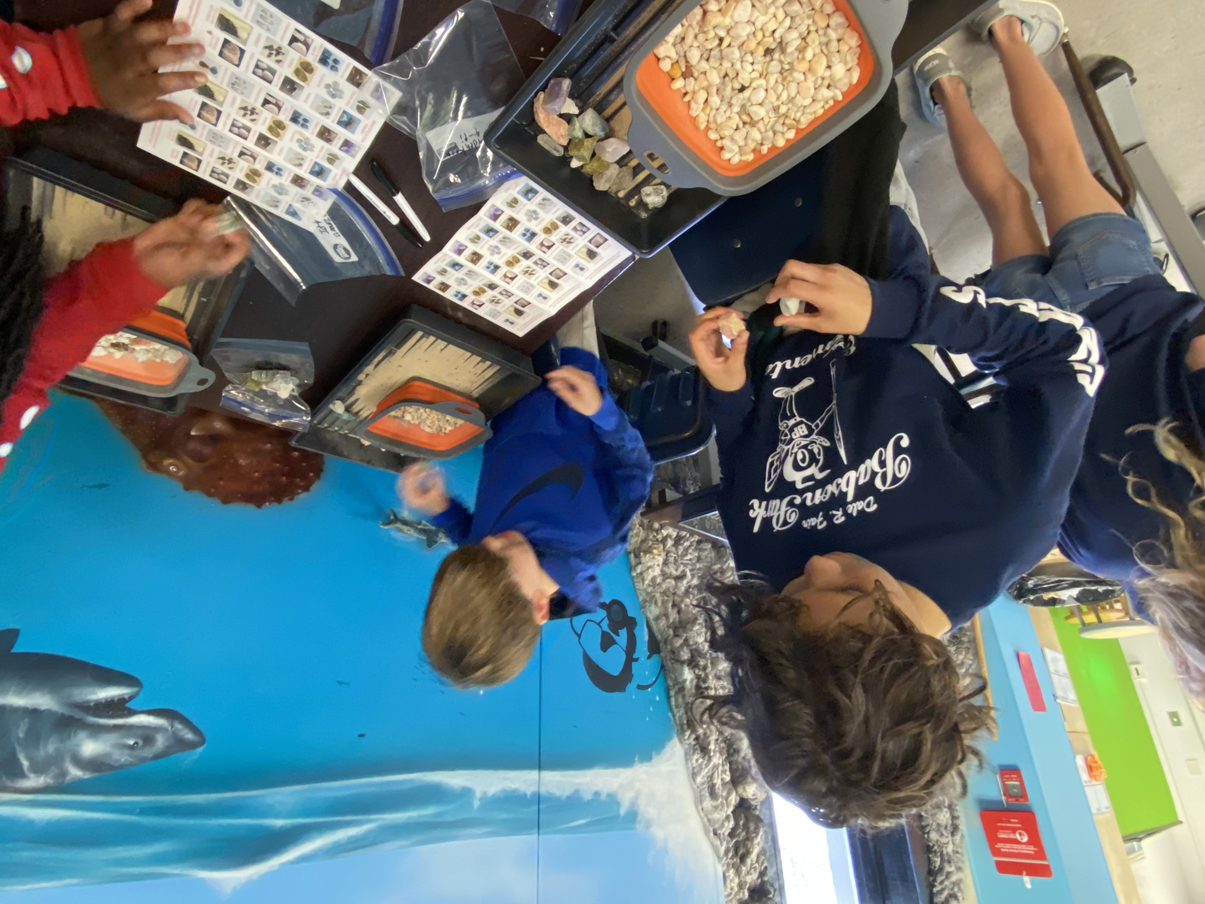4th grade students looking at which rocks and minerals they found. 