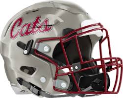 whitewater helmet