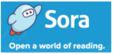SORA directions - use your SSO