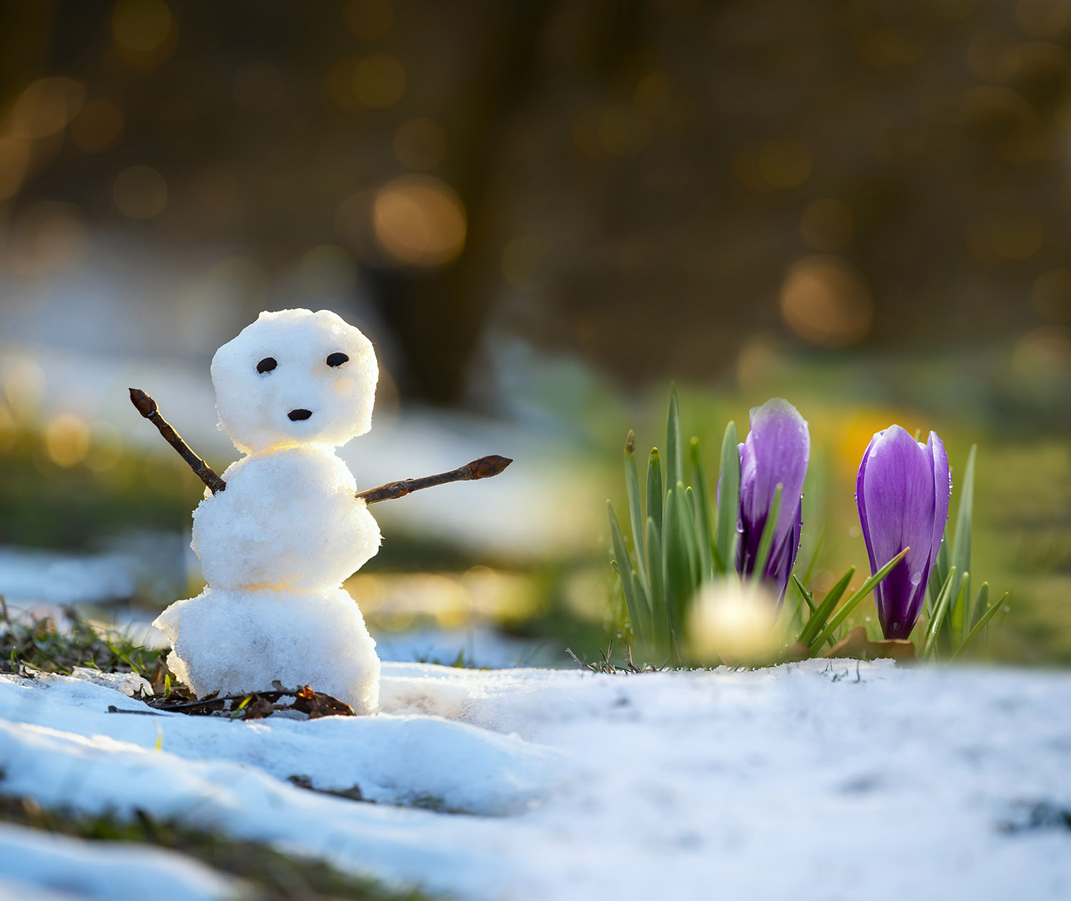 Stepping Stones Spring Snowman and Crocus