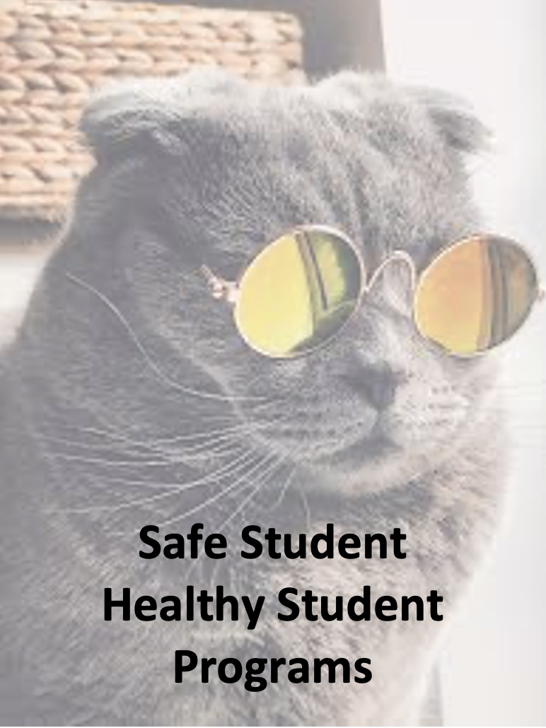 Safe Student, Healthy Students Programs at SLES