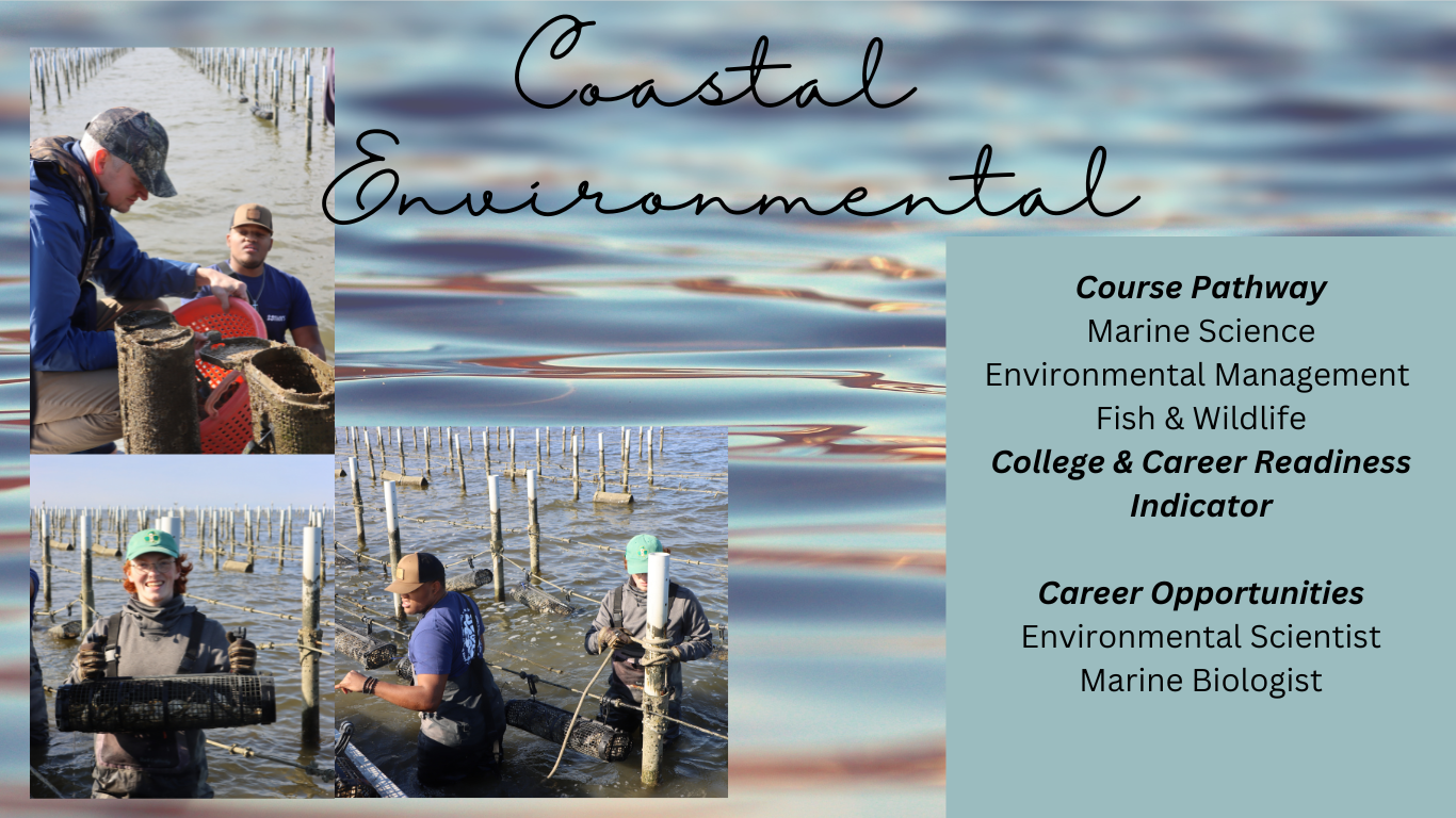 Environmental Management