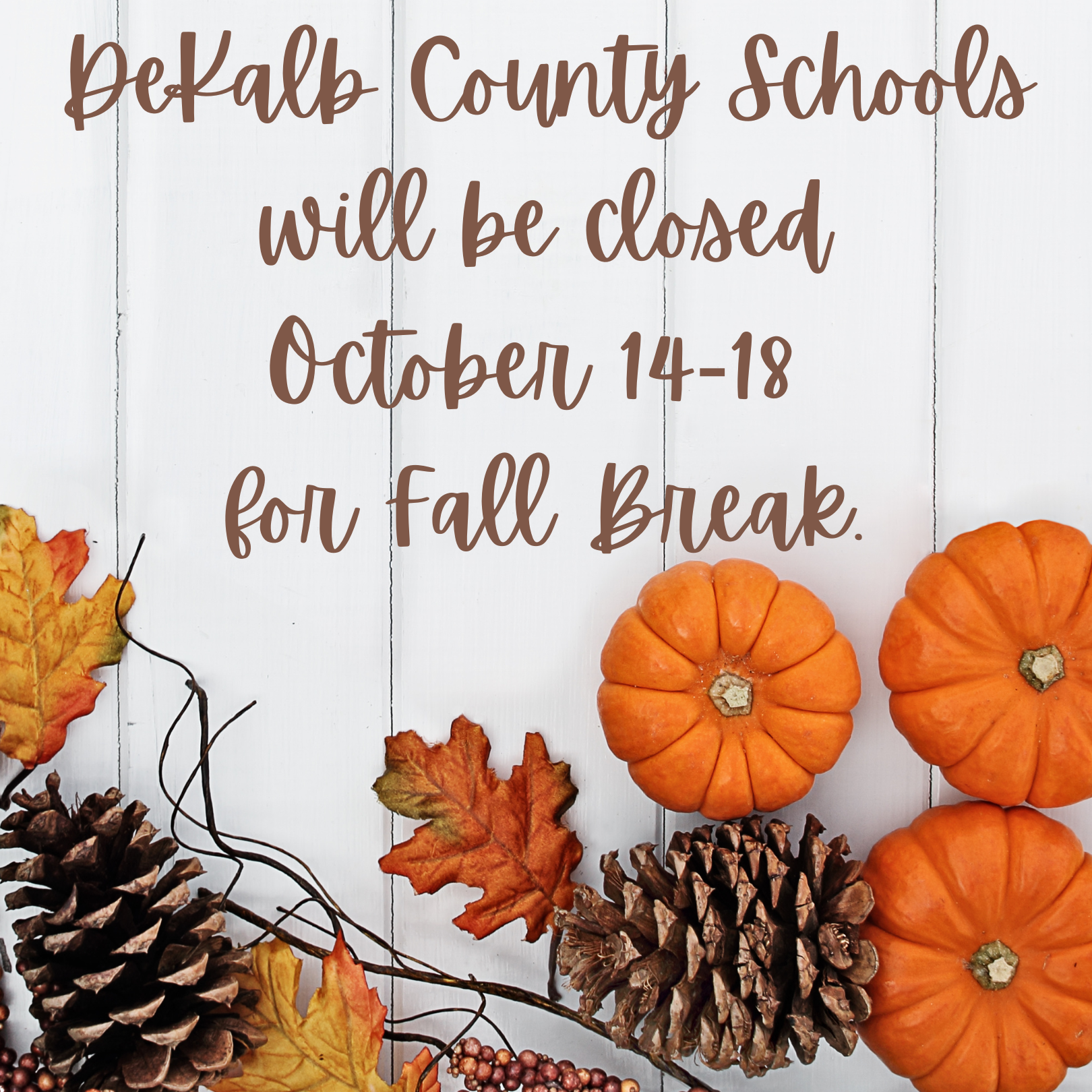 DeKalb County Schools will be closed October 14-18  for Fall Break.