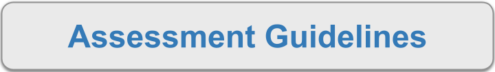 Assessment Guidelines