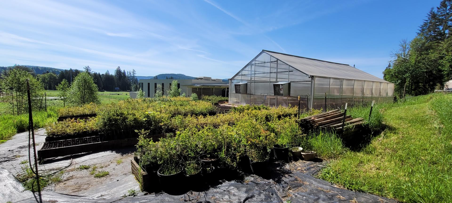 Nursery / Greenhouse