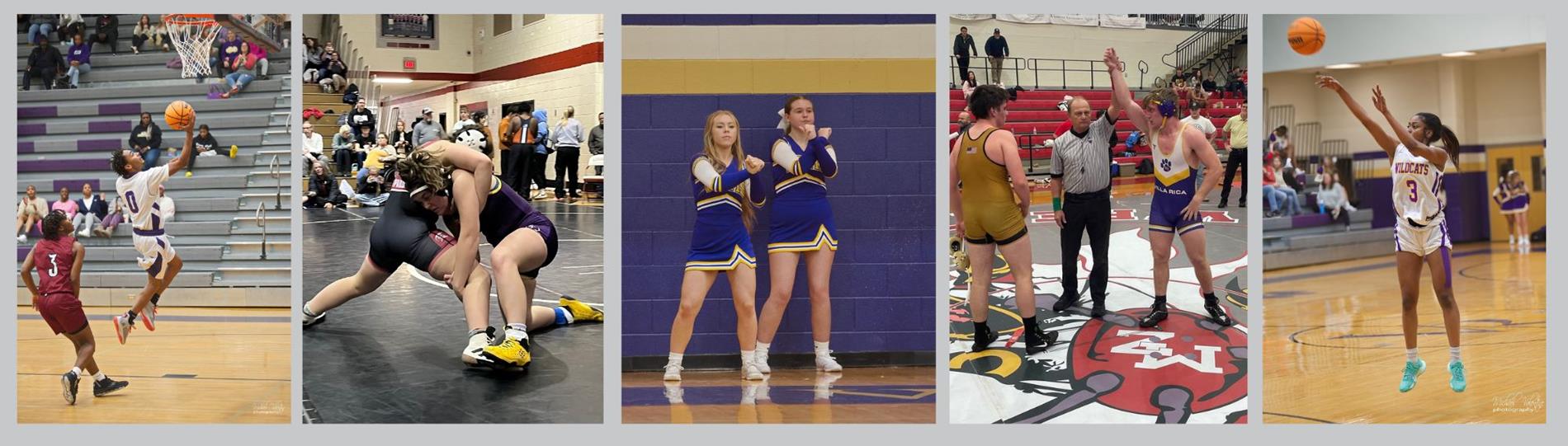 winter sports photo collage
