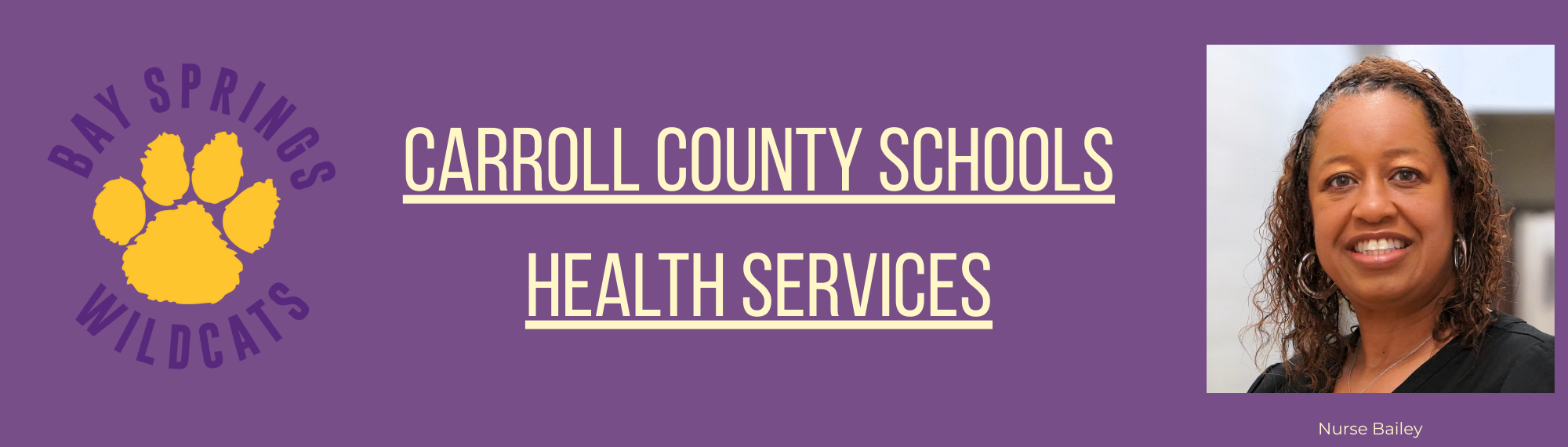 Health Services Link