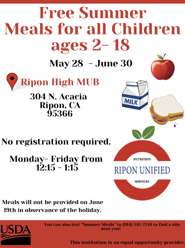 summer meals flyer summer meals flyer