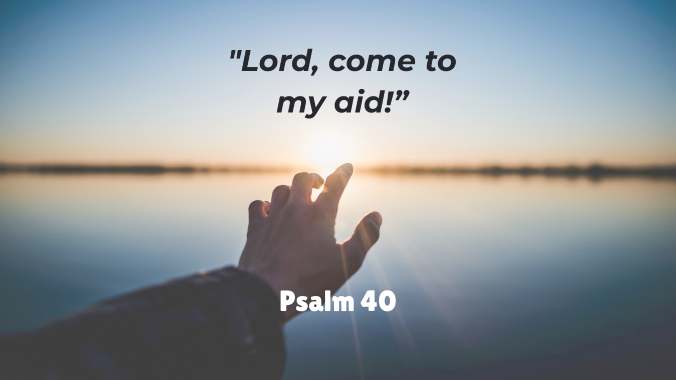 20th Sunday in Ordinary Time