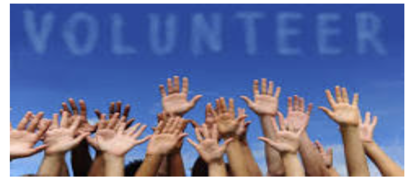 Volunteer Volunteer