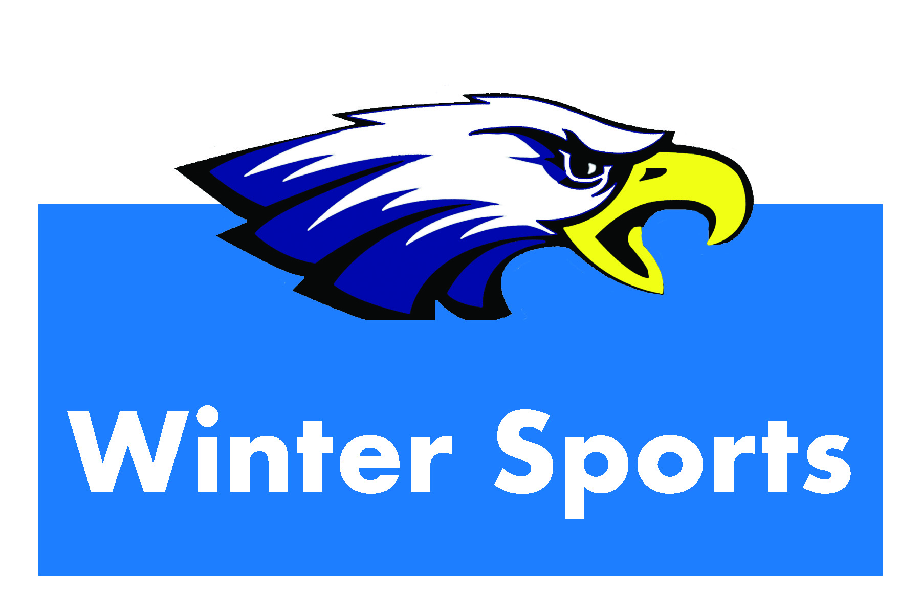 Winter Sports