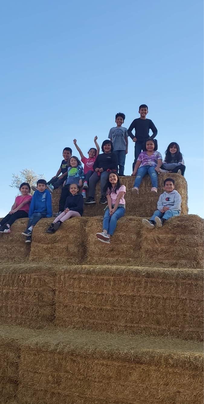 Students on top of the hay bales