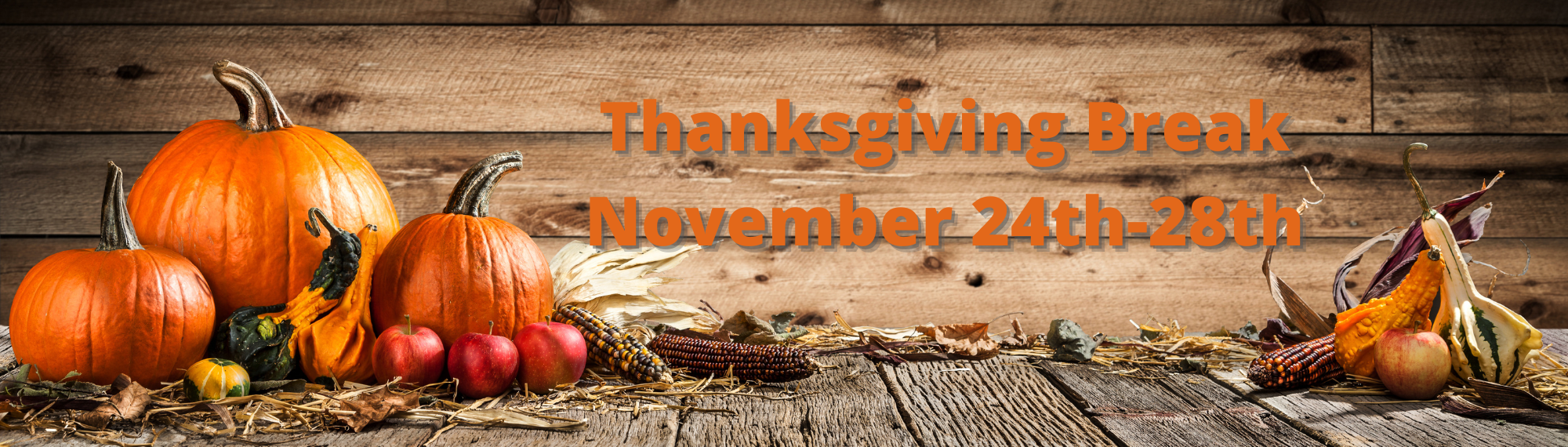 Thanksgiving Break orange