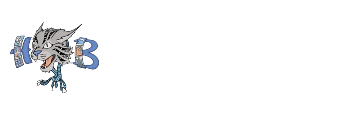 HOTiVILLA BACAVI COMMUNITY SCHOOL LOGO