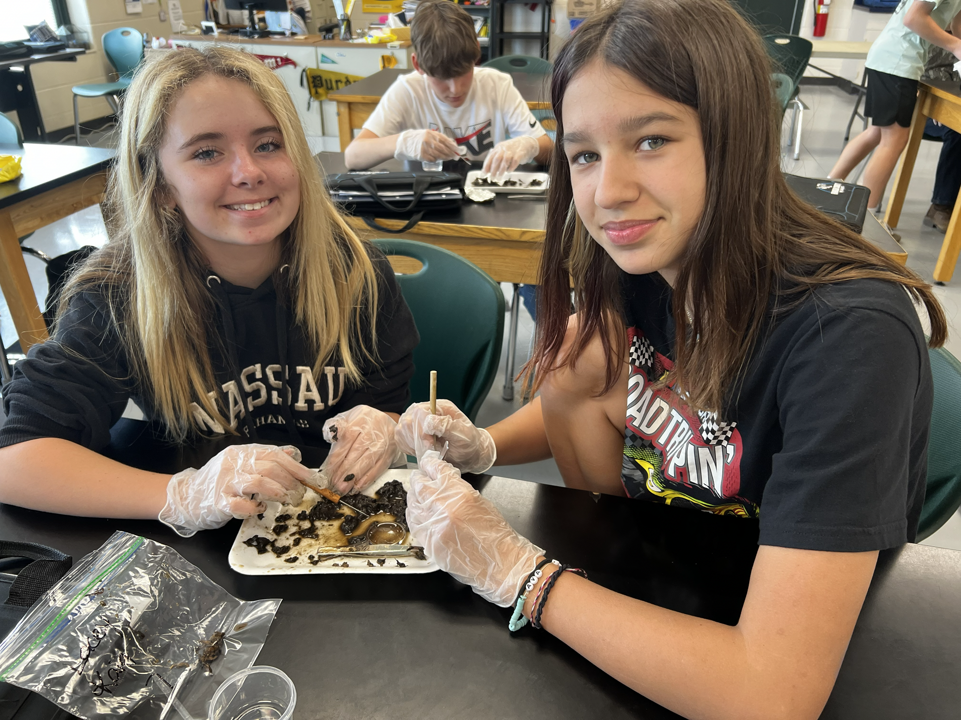 students dissecting owl pellet